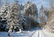 Diferentes percepciones para los neumáticos de invierno en Europa.