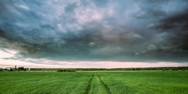 neumáticos y el cambio climático