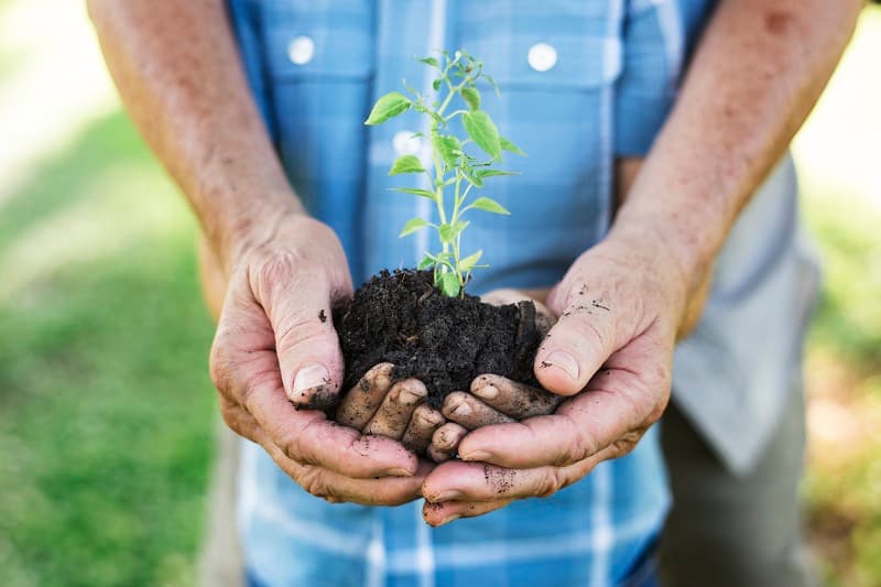 el cambio climatico afecta a todos