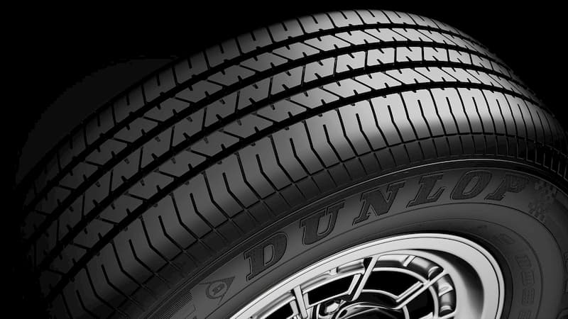 todas las informaciones sobre el Sport Classic de Dunlop