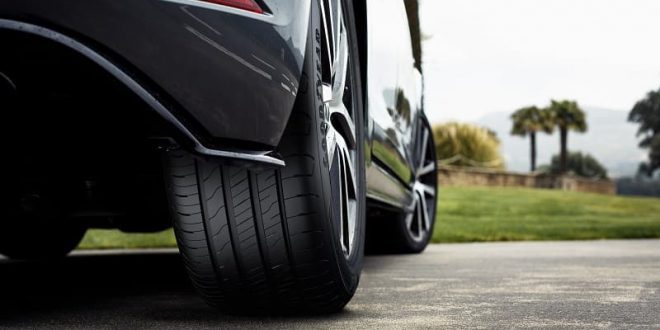 Efficientgrip Performance 2