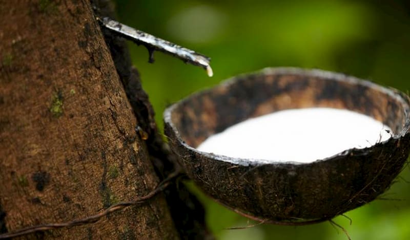 caucho natural para neumáticos