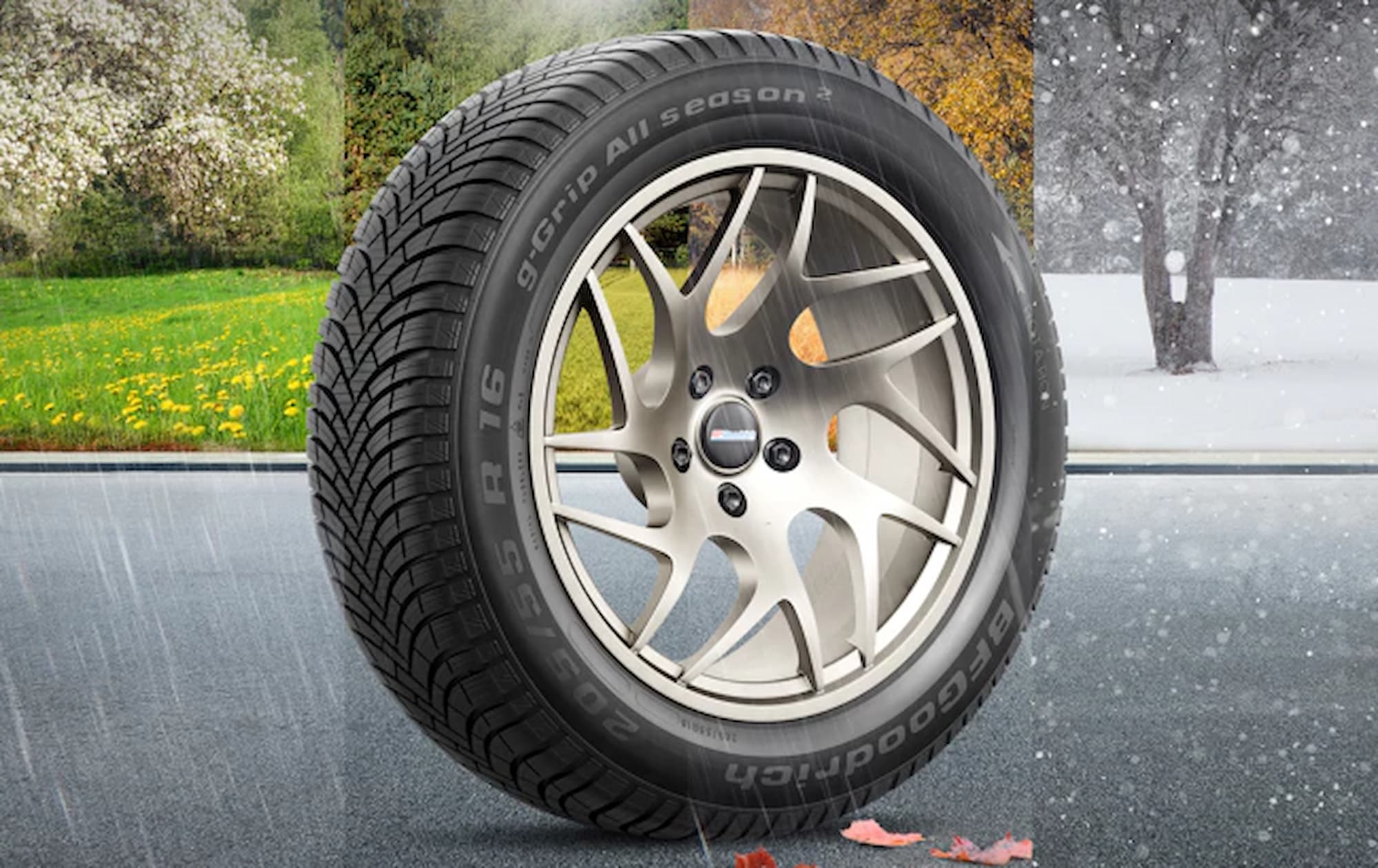 BF Goodrich g-Grip All Season 2