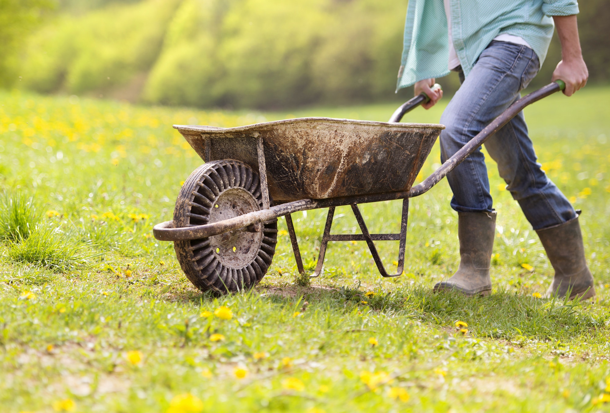 Farmer with wheelbarrow