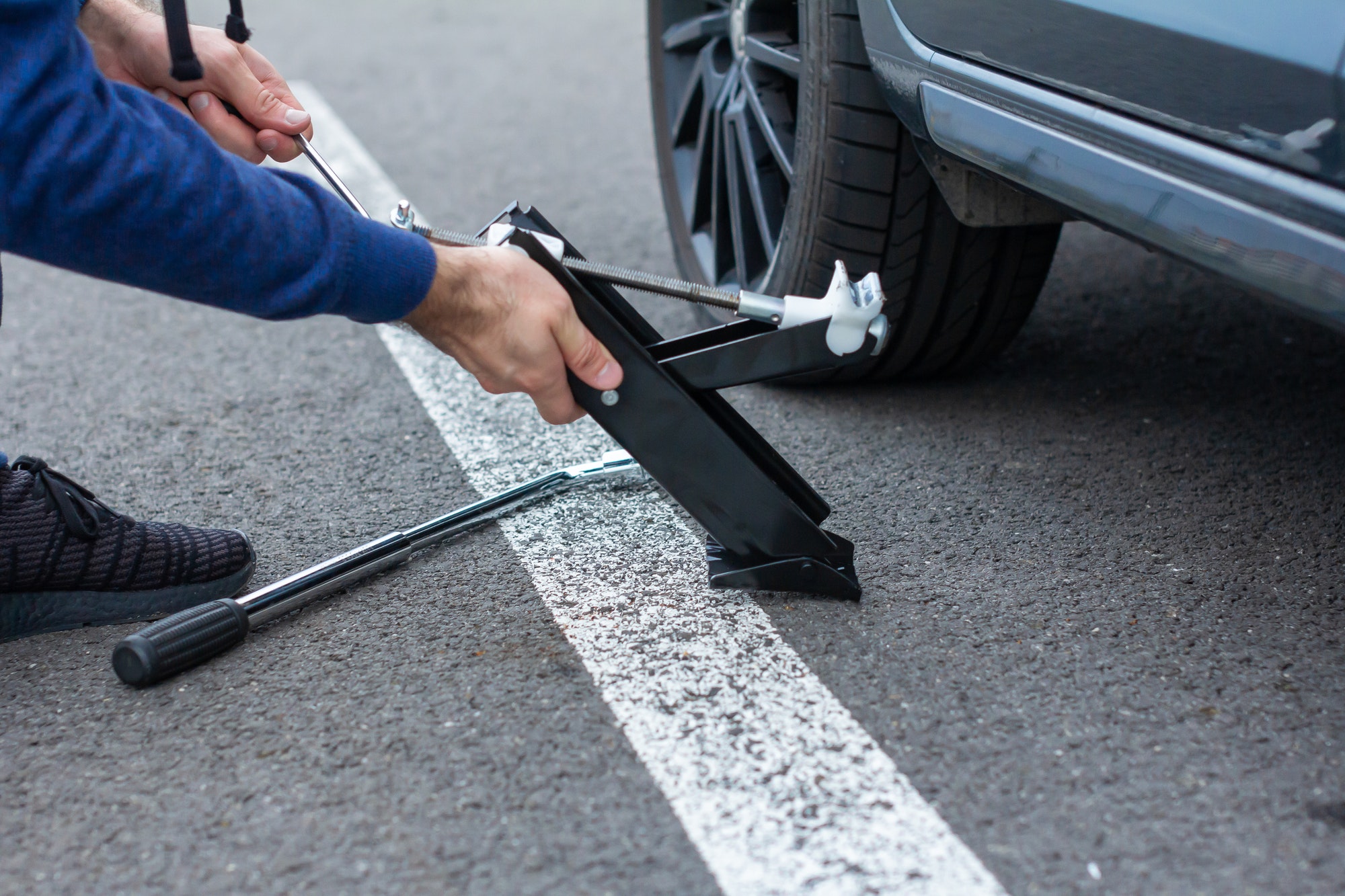 Gatos para coche: Todo lo que necesitas saber