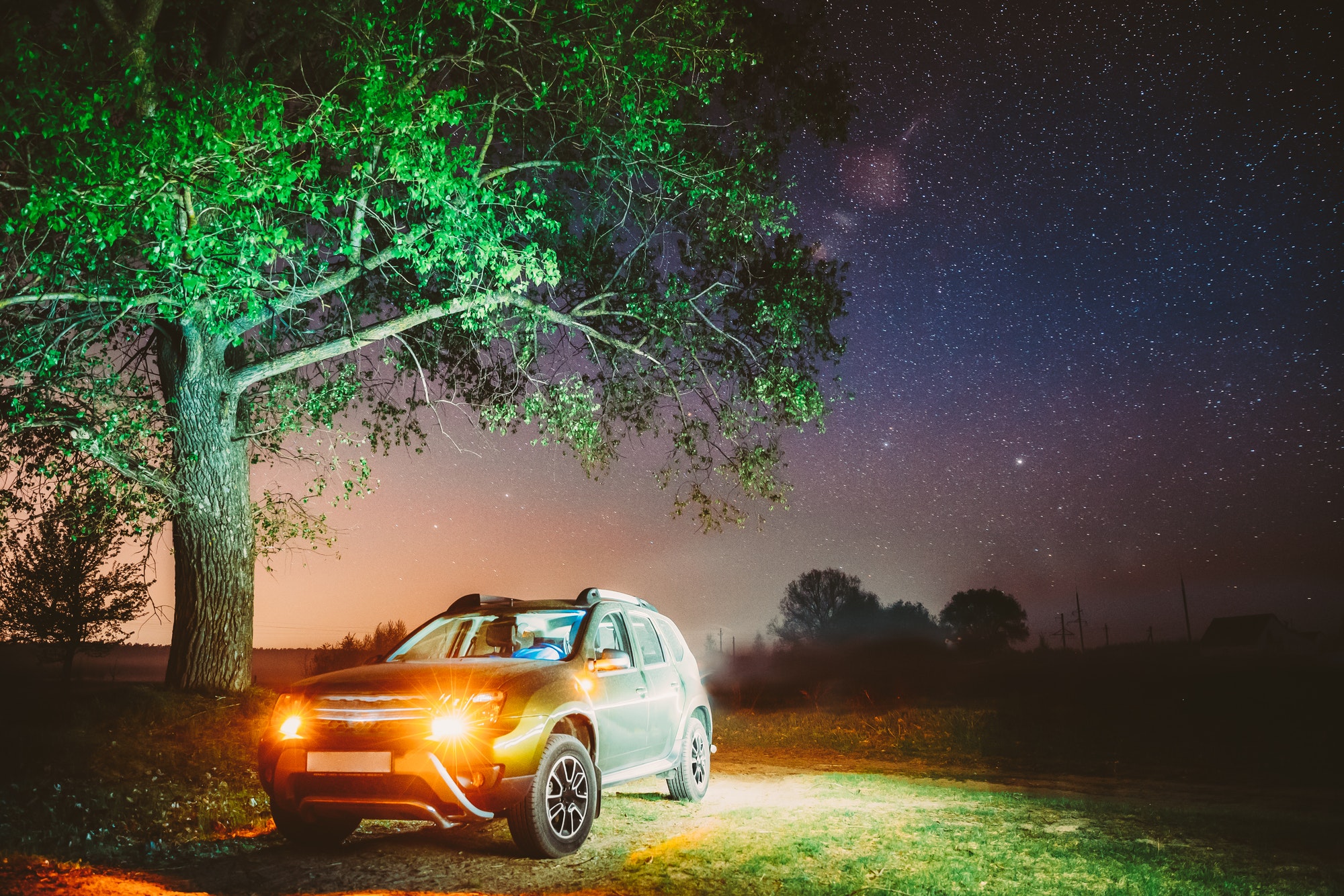 Milky Way Galaxy In Night Starry Sky Above Tree In Summer Forest. Glowing Stars Above Landscape