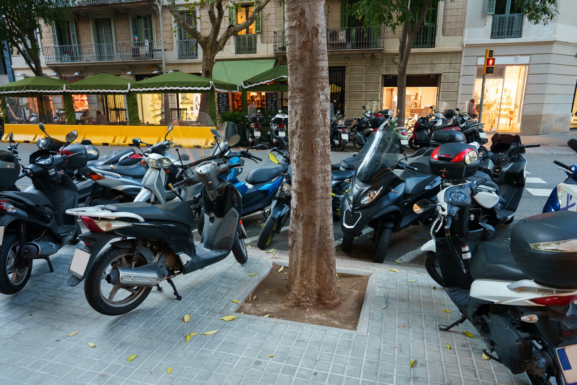 Motorbikes parked in city street