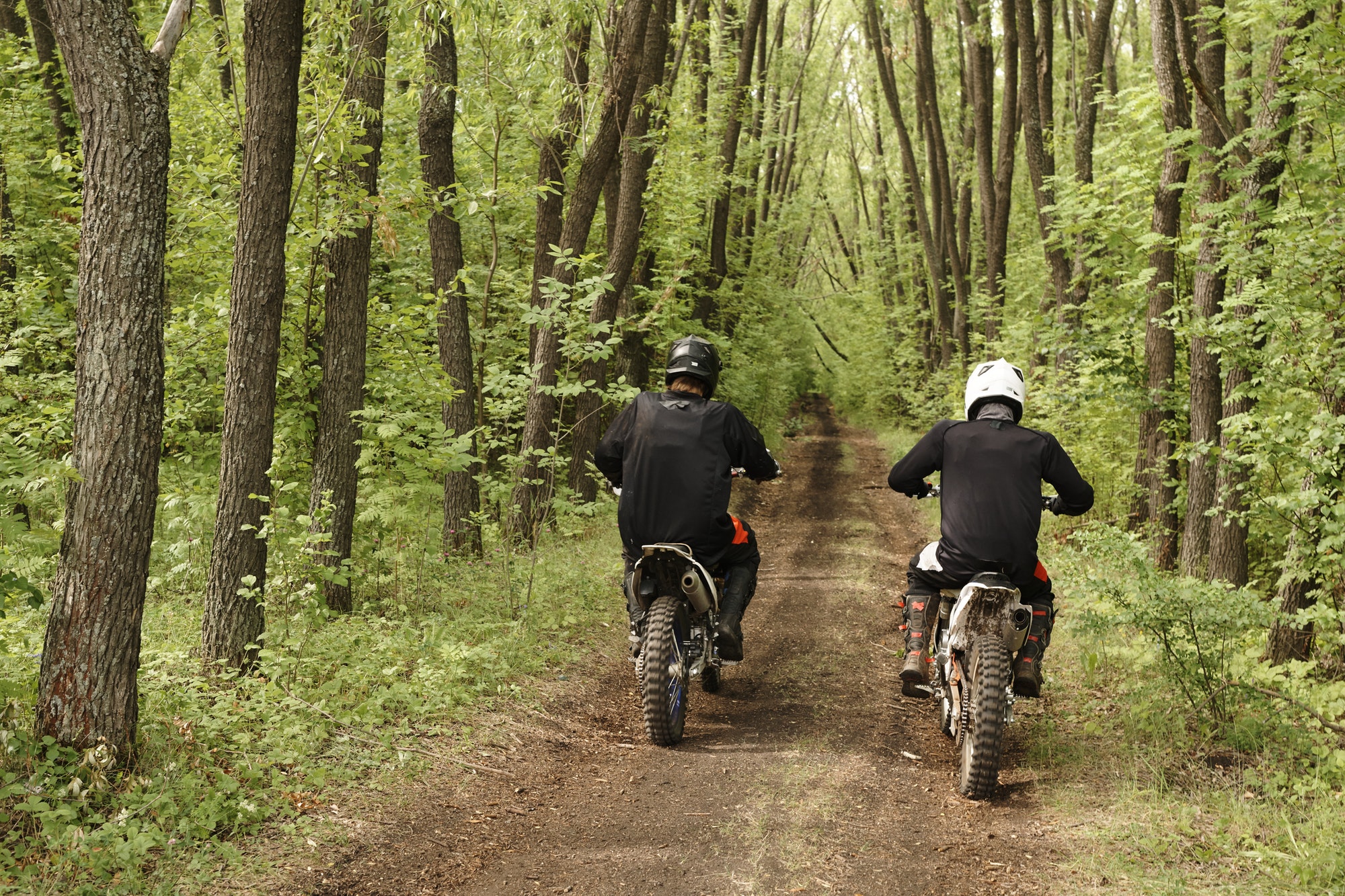 Riding motorbike in forest