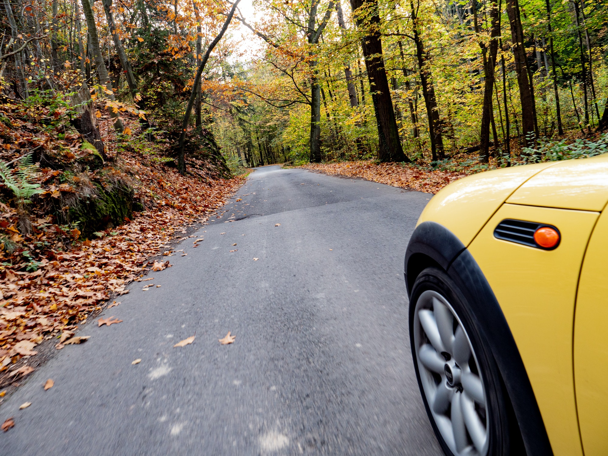 Side view on car wheel on the autumn countryside road