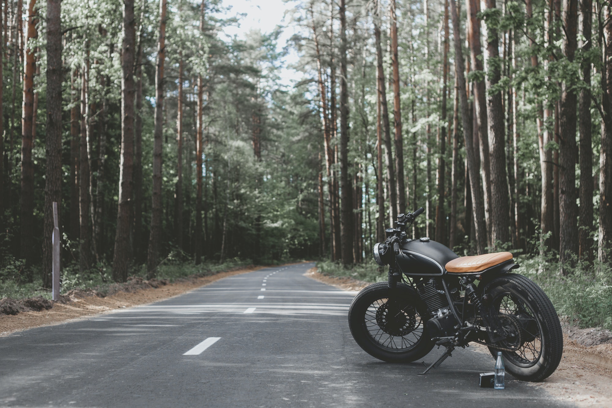 vintage caferacer in forest