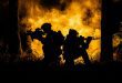 War in the forest