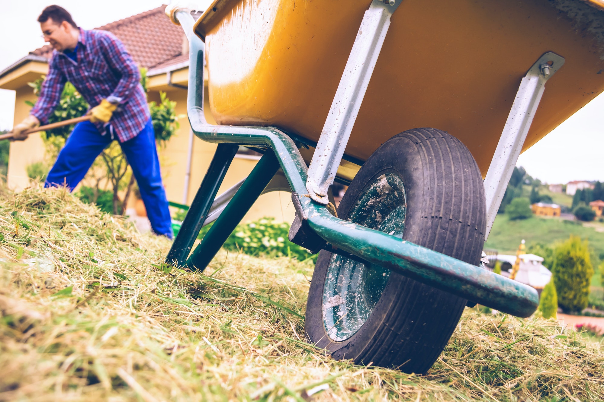 Wheelbarrow in the field and man raking on background