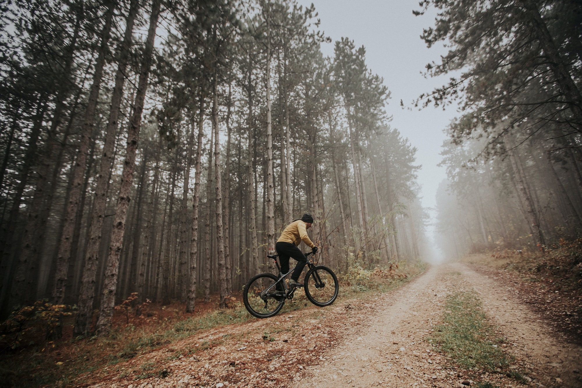 Young man biking through autumn forest