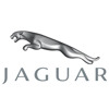 neumáticos para jaguar