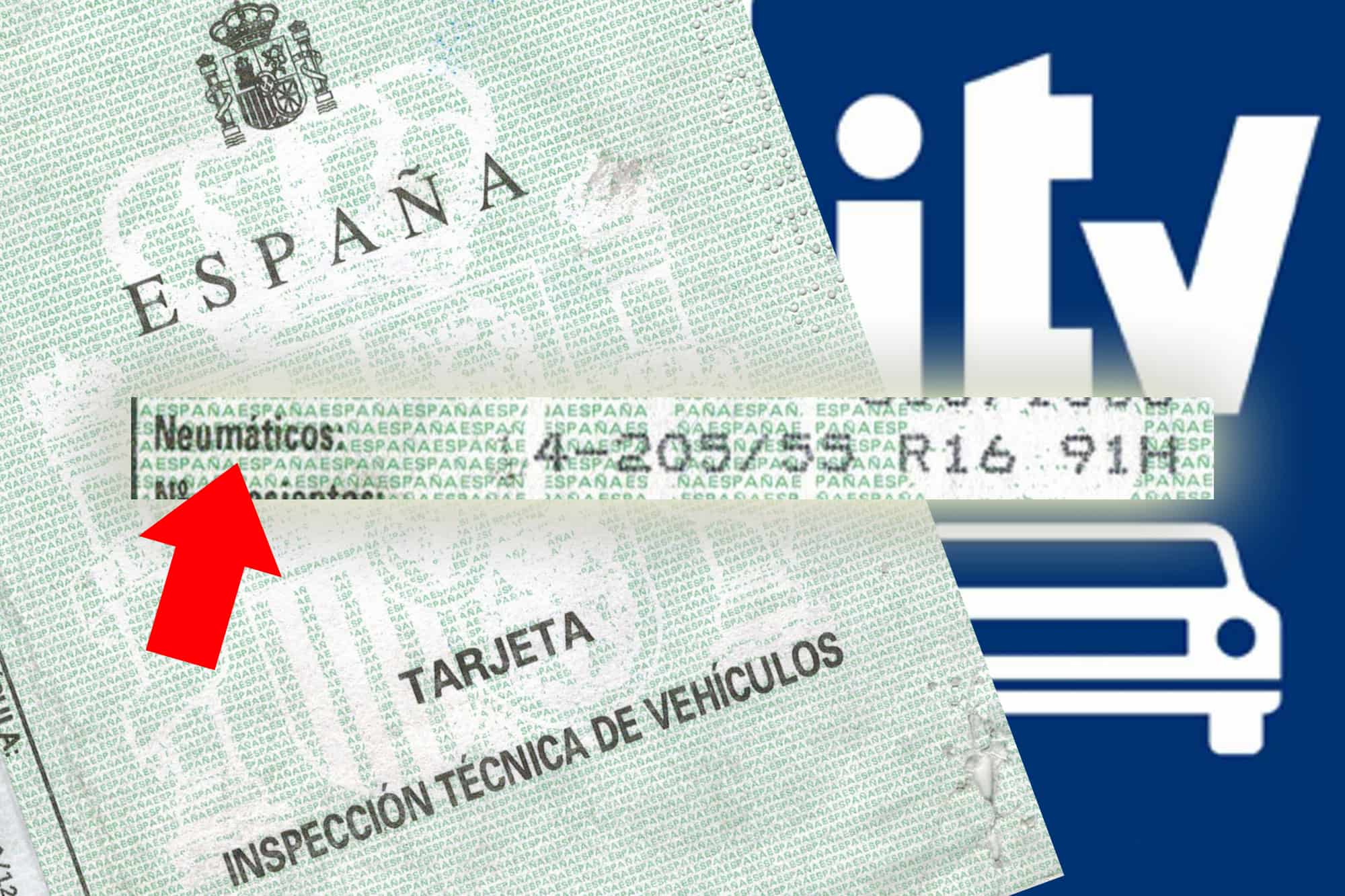 Que neumaticos lleva mi coche