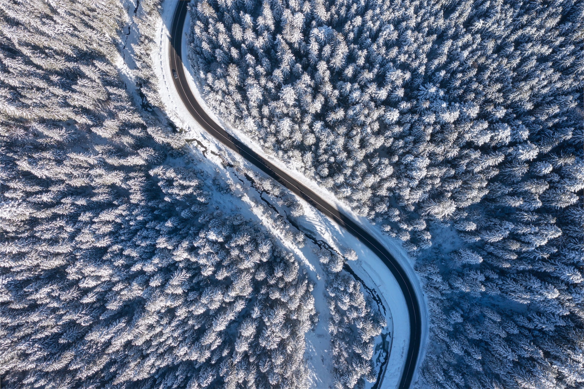 Neumáticos otoño invierno 2022