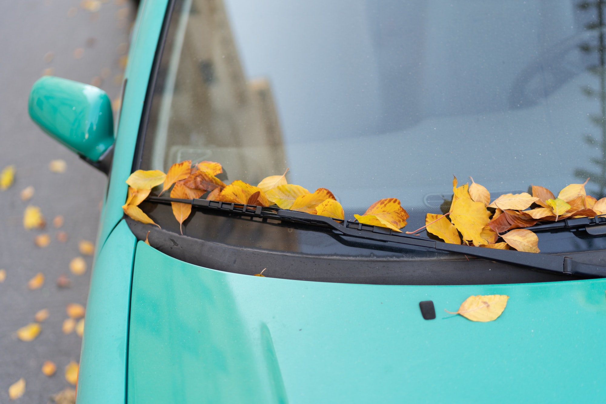 Un parabrisa de coche sin adhesivos