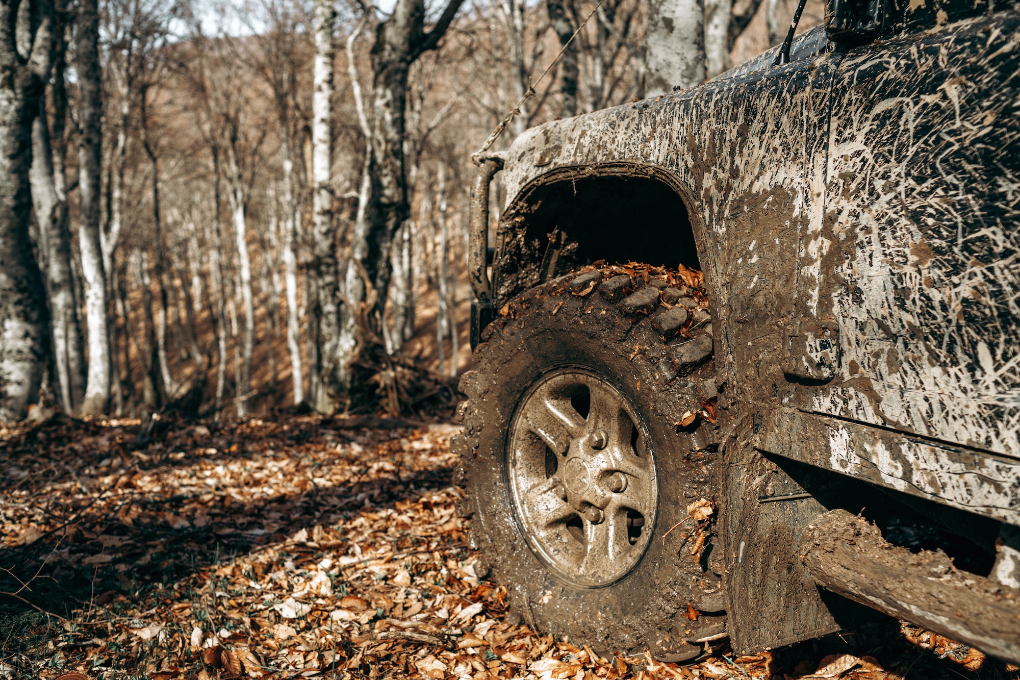 Neumáticos 4x4 extremo