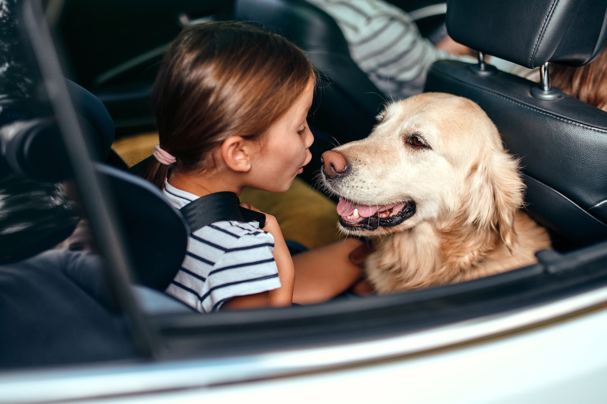 Coches cómodos para viajar