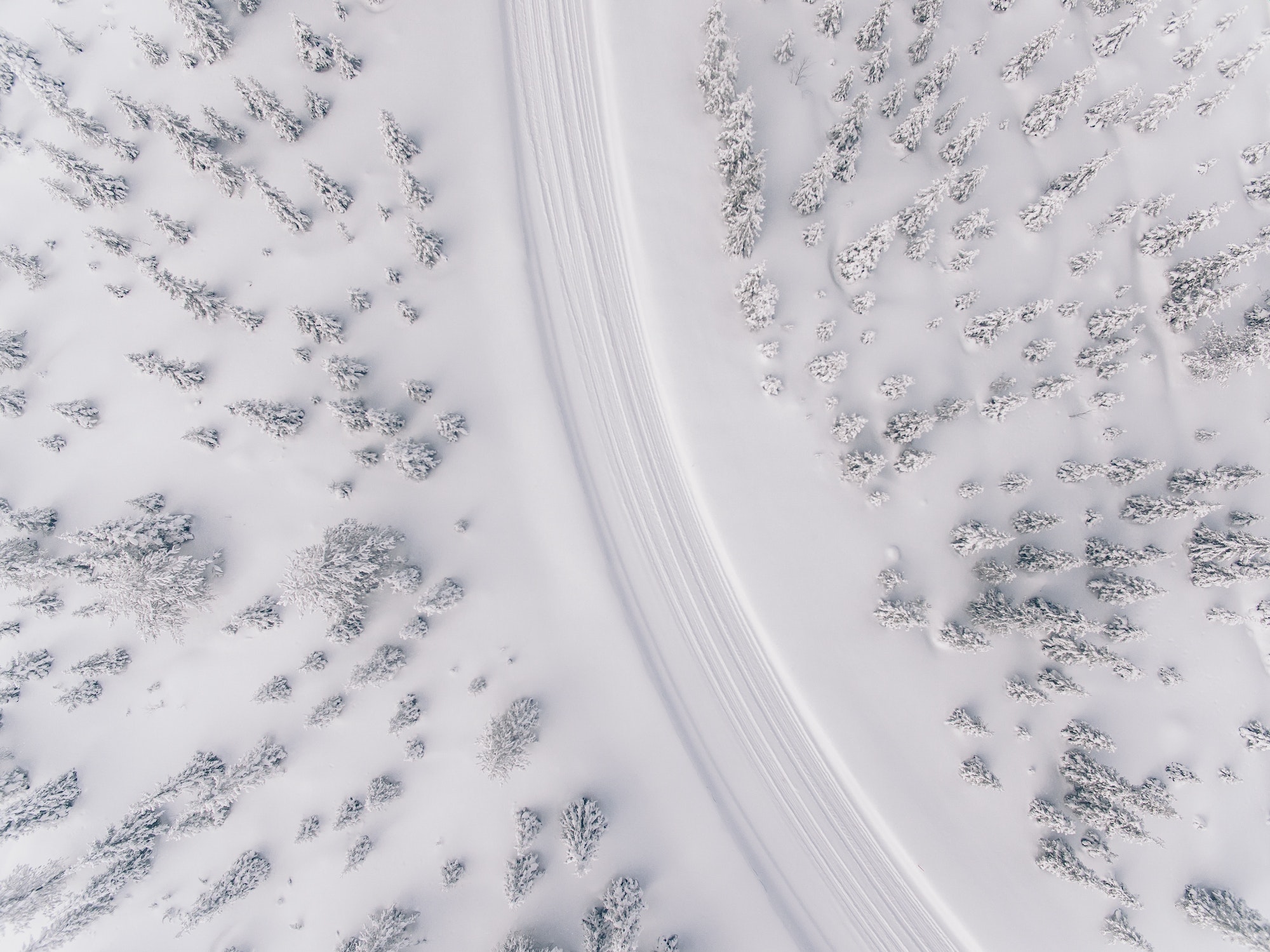 Cómo conducir sobre la nieve de forma segura