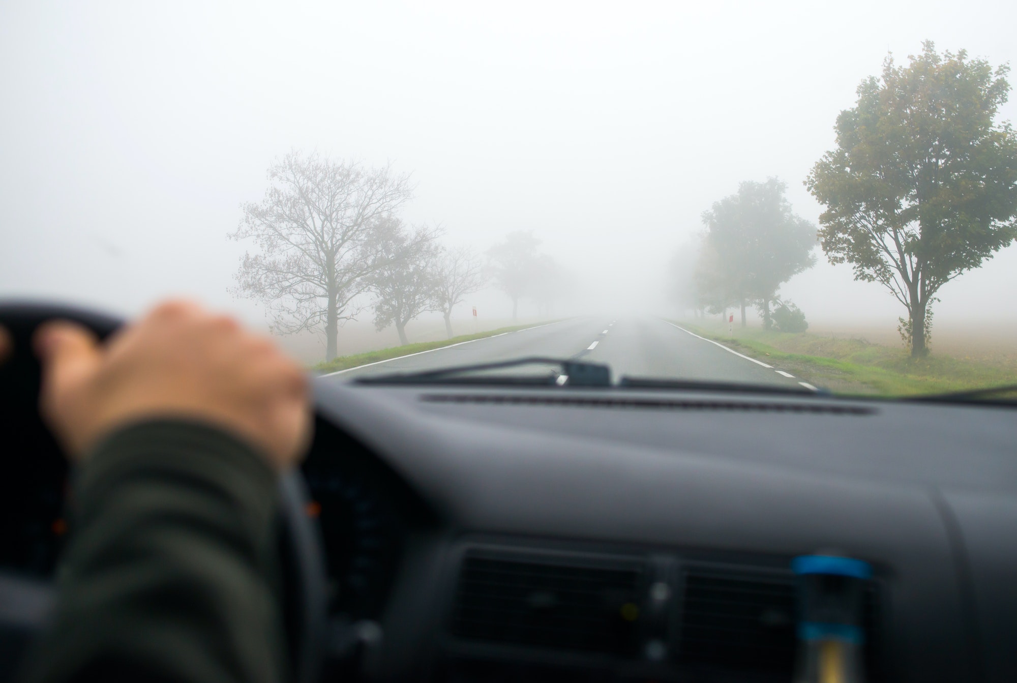 Coche avanza en la niebla