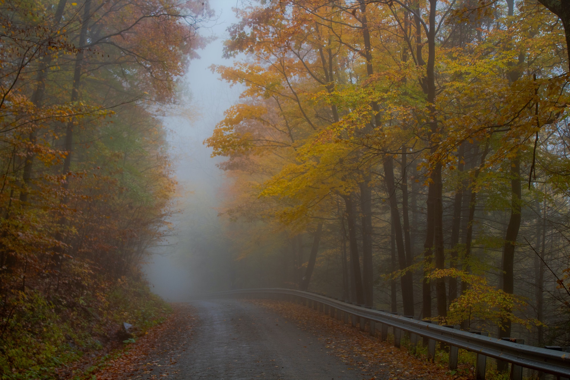 Conducir con niebla de forma segura