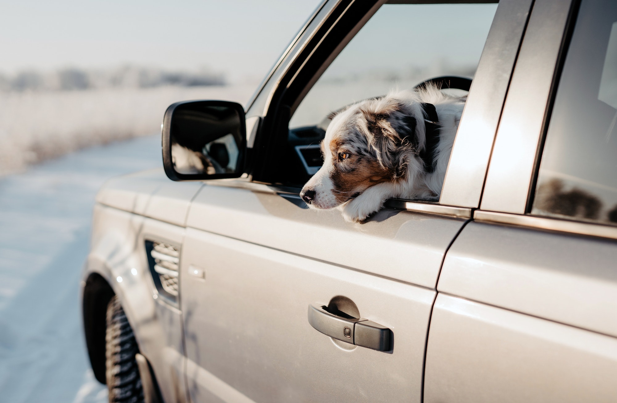 10 consejos para viajar en coche en invierno