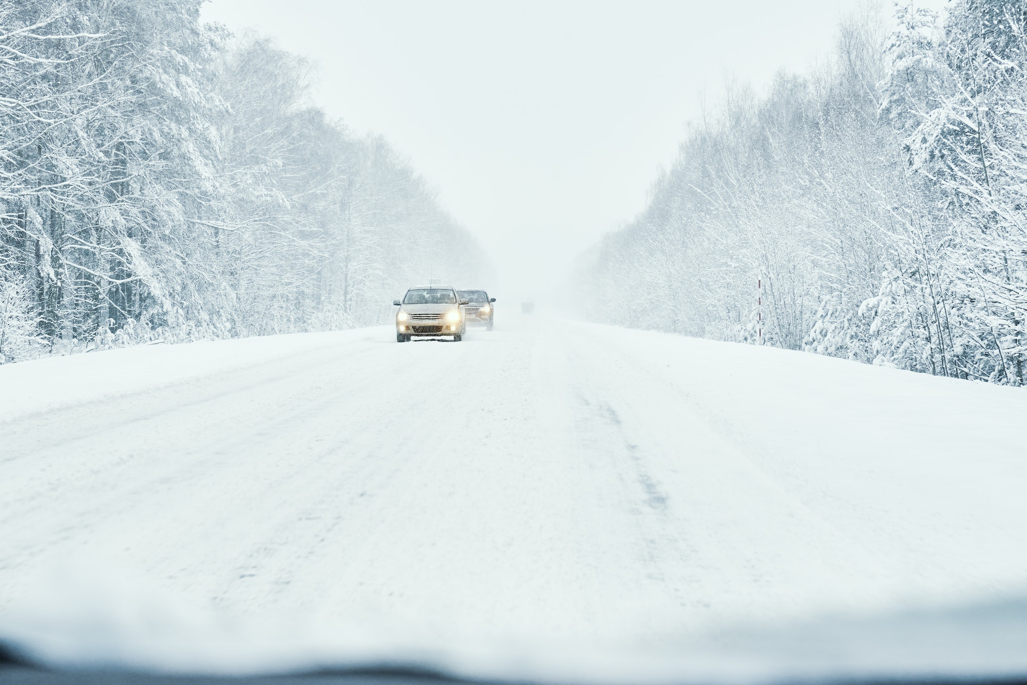 Ford elige los neumáticos Continental contra el invierno