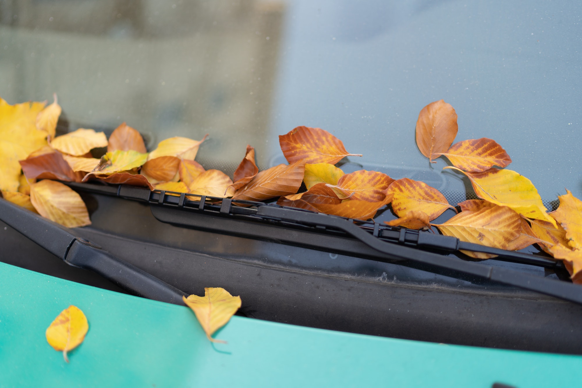 Un parasol de coche es un accesorio que se coloca en las ventanas delanteras
