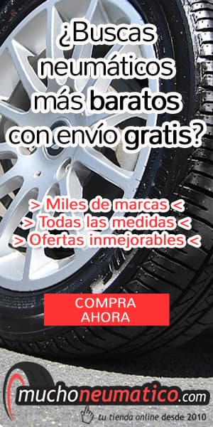 neumáticos baratos