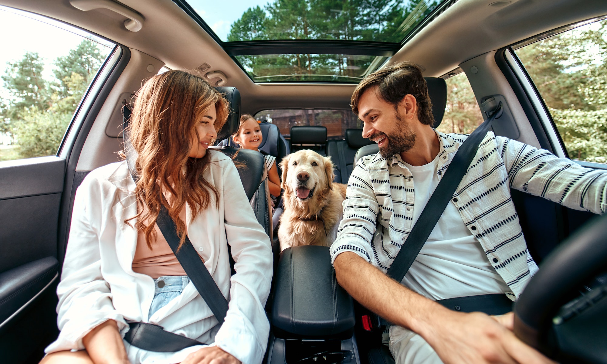 Cómo acostumbrar a tu perro a viajar en coche 