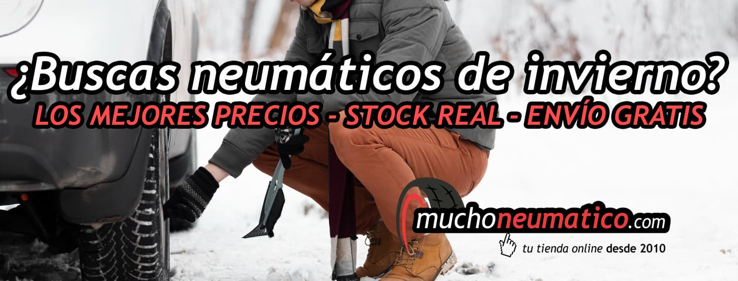 compra neumaticos invierno online