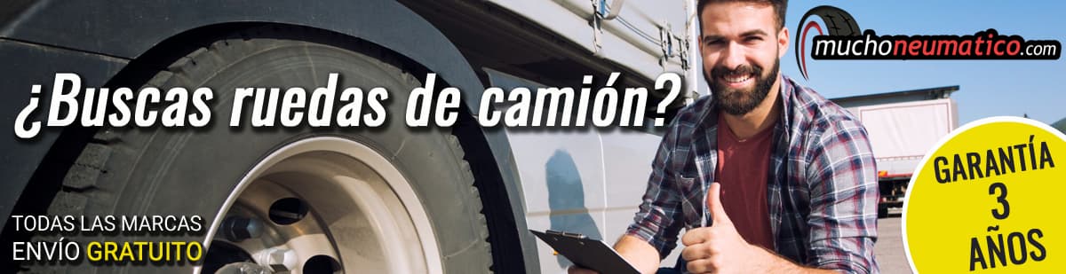 Compra neumáticos de camión online