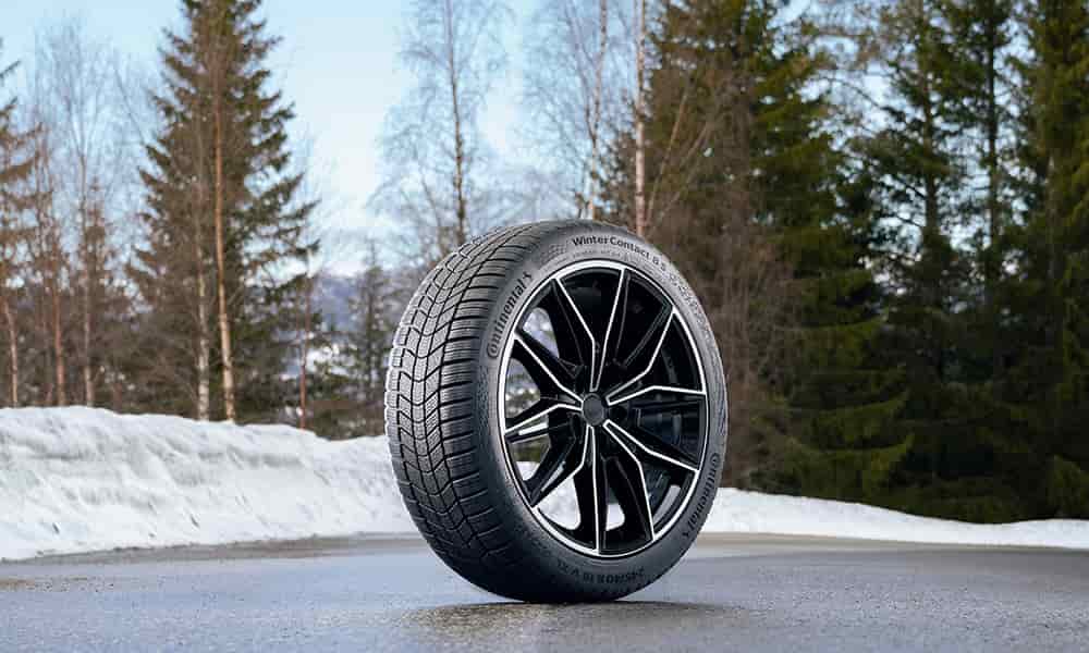 Perfil del WinterContact 8 S