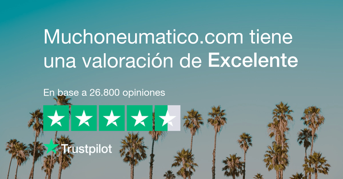 Opiniones muchoneumatico