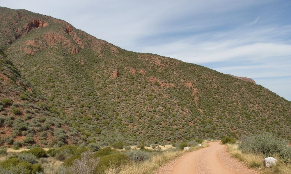 La Ruta del Silencio