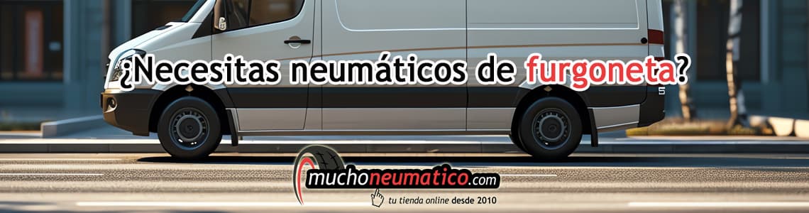 Furgoneta con neumáticos adecuados