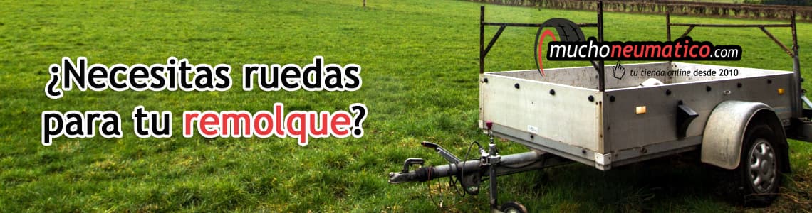 Remolque con sus neumáticos