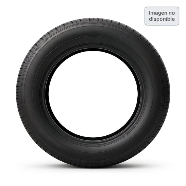 215/60 HR17 TL 96H  CO ALL SEAS CONT 2 EV 215/R17