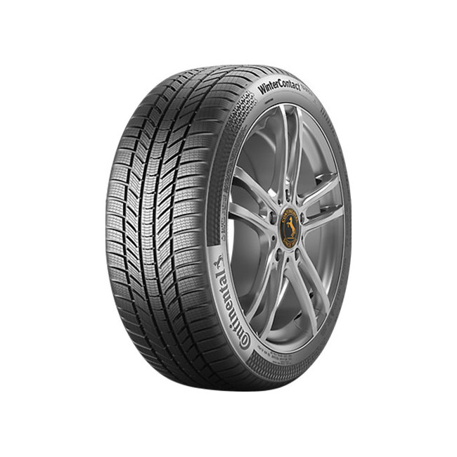 225/55 HR17 TL 97H  CO TS870 P 225/R17