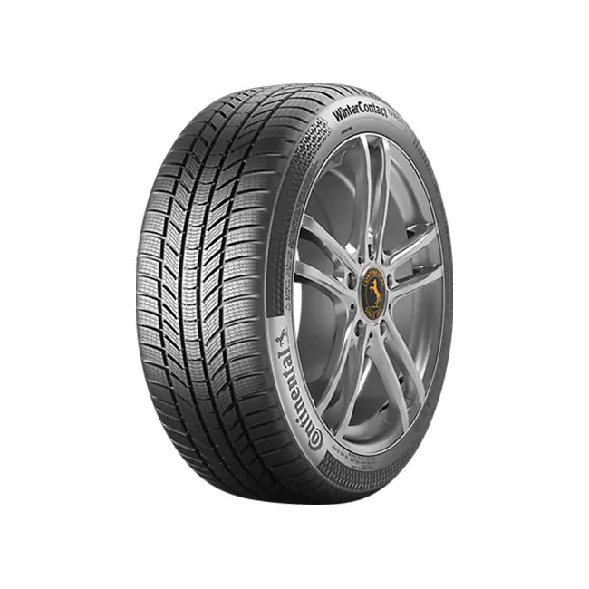 195/55 HR20 TL 95H  CO TS870 P XL