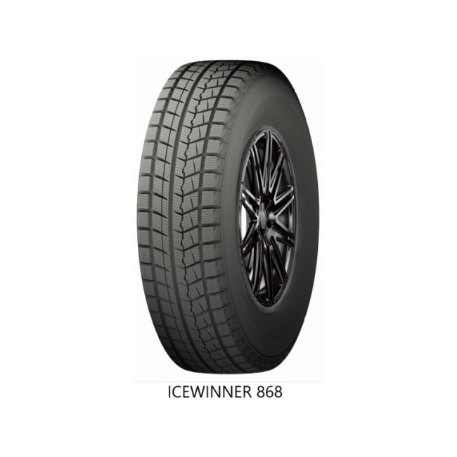 215/70TR15 98T ICEWINNER 868