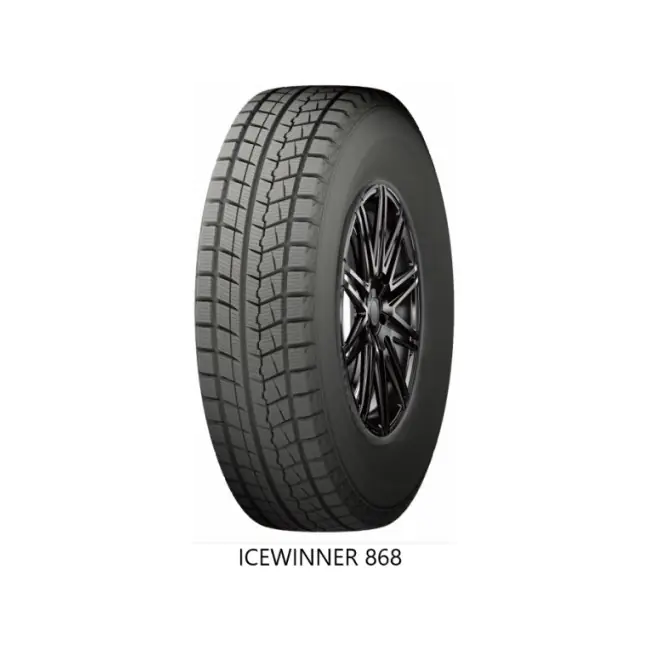 215/70TR15 98T ICEWINNER 868