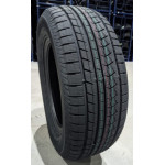 225/65HR17 102H ICEPIONEER 868