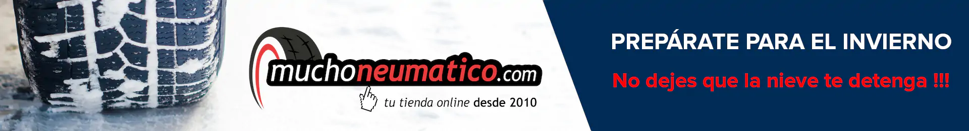 Neumáticos de Invierno