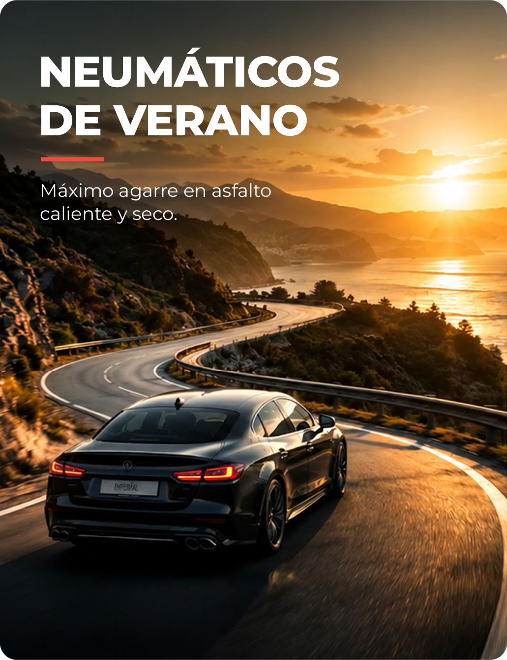 DESCUBRE TODA LA GAMA